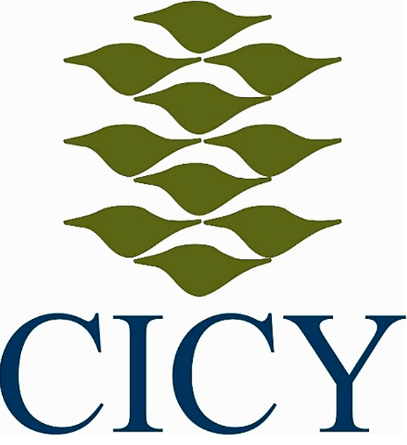 Cicy
